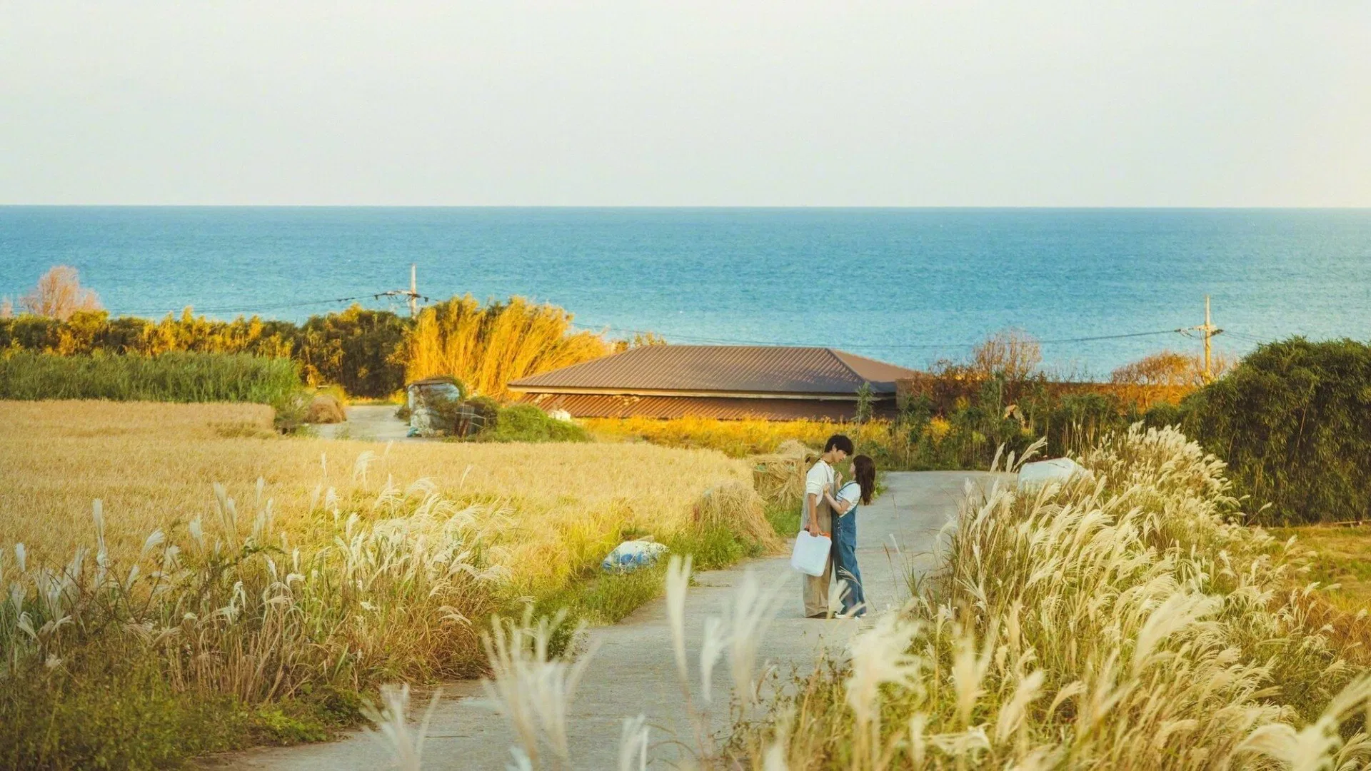 My youth: Lãng mạn và chữa lành